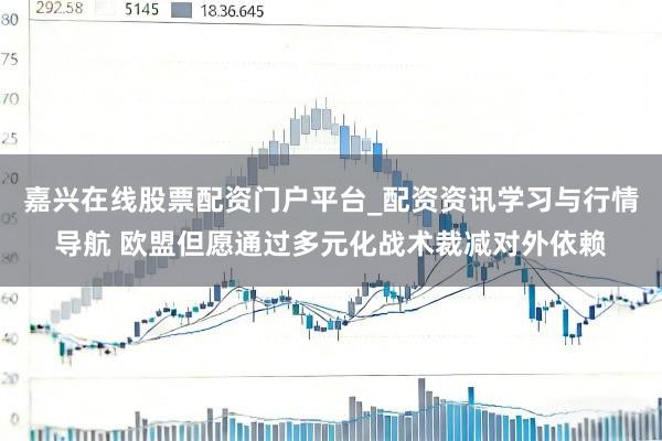 嘉兴在线股票配资门户平台_配资资讯学习与行情导航 欧盟但愿通过多元化战术裁减对外依赖