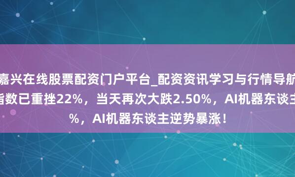 嘉兴在线股票配资门户平台_配资资讯学习与行情导航 恒生科技指数已重挫22%，当天再次大跌2.50%，AI机器东谈主逆势暴涨！