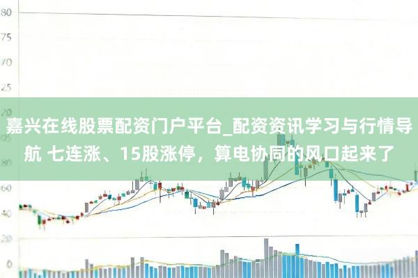 嘉兴在线股票配资门户平台_配资资讯学习与行情导航 七连涨、15股涨停，算电协同的风口起来了